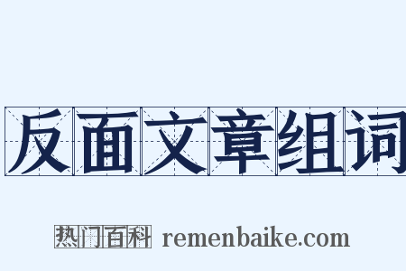 反面文章组词是什么意思的图片